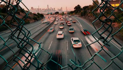 萌宠大丰收活动指南：全新宠物全收录